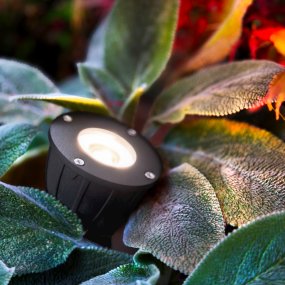 Luminius Donkergrijs Van Lightson - Een lamp met een smalle lichtbundel (15&deg;) die geschikt is voor bomen waarbij de stam moet worden benadrukt, of waar u wilt dat het licht tot aan de top reikt, bijvoorbeeld hoge dennen en berken.