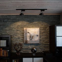 Detroit spot Zwart Van Aneta Lighting - Door de matzwarte afwerking en het industri&euml;le design heeft het een moderne uitstraling en is het geschikt voor zowel huiselijke als commerci&euml;le omgevingen.