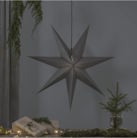 Ozen Ø100 Grijs Van Star Trading - Grijze papieren ster met een diameter van 100 cm.