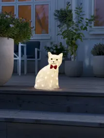 Zittende Kat Van Acryl Duidelijk Van Konstsmide - Charmant en speels &ndash; Deze zittende kat van acryl verspreidt warmte met zijn 40 warmwitte LED-lampjes.