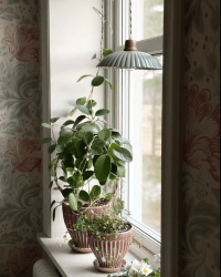 Ingrid Groot Ø24 Groente raamlamp Van Strömshaga - De lamp heeft geen aansluiting op de muur of het plafond, u kiest dus zelf waar u hem op wilt aansluiten.