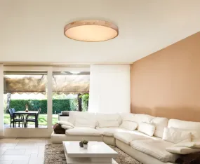 Rainer Ø80 Natuur plafondlamp Van Globo Lighting - Lampan har &auml;ven en f&auml;rgv&auml;xlingsfunktion med m&ouml;jlighet att fixera en vald f&auml;rg, vilket g&ouml;r den b&aring;de flexibel och funktionell.
