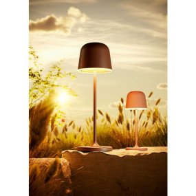 Mannera 20cm ROOD Draagbare Van Eglo - U kunt hem eenvoudig opladen met de meegeleverde USB-kabel, zodat u hem gemakkelijk overal mee naartoe kunt nemen - of u nu op het terras, in de tuin of op een picknick bent.
