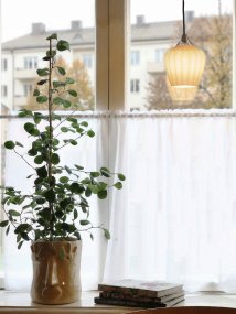 Amalfi Ø14 Abrikoos raamlamp Van PR Home - Het geribbelde glas in een warme abrikooskleur geeft de lamp een zachte en decoratieve uitstraling, terwijl het chroomkleurige detail een elegant contrast creëert.