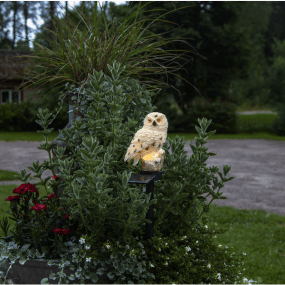 Owl Gebroken wit solarlamp Van Star Trading - De uil op zonne-energie is een prachtige en decoratieve verlichting voor de tuin.