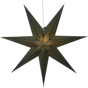 Holly Ø75 Groente Van Star Trading - De ster zorgt voor een kerstsfeer in huis en heeft een mooi kralenpatroon dat een aangename gloed geeft.