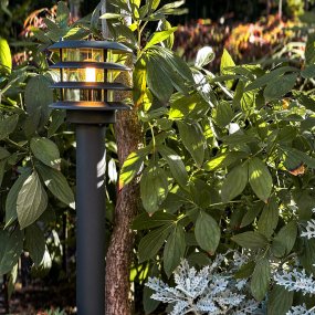 Jupiter Donkergrijs Van Lightson - Jupiter is een stijlvolle bolderlamp in een donkergrijze uitvoering die zorgt voor een aangenaam en helder ori&euml;ntatielicht langs looppaden, opritten en ingangen.