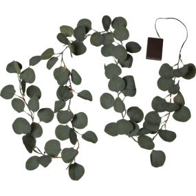 Lichtslinger Eucalyptus Groente Van Star Trading - 