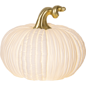 Pumpkin 15cm Wit Van Star Trading - De lamp werkt op 2 AAA-batterijen (niet meegeleverd) en heeft een handige timerfunctie die 6 uur brandt en vervolgens 18 uur uit is, en dit herhaalt.