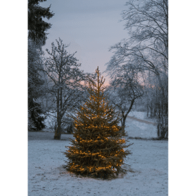 Lichtsnoer Golden Warm White 24m Zwart Van Star Trading - Lichtsnoer met 1200 LED-lampjes met prachtig goudkleurig licht.