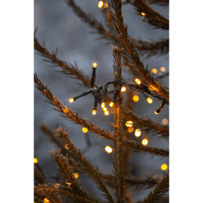 Lichtsnoer Golden Warm White 24m Zwart Van Star Trading - Lichtsnoer met 1200 LED-lampjes met prachtig goudkleurig licht.