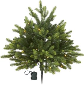 Busk 75cm Groente Van Star Trading - Mooie struik die je buiten in de volle grond of binnen in een pot kunt zetten.
