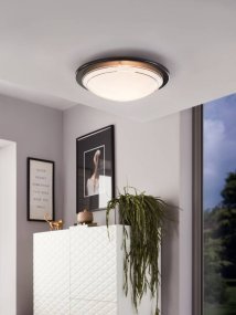 Planet Ø30 Zwart plafondlamp Van Eglo - Dankzij het minimalistische design past de lamp in elke kamer en zorgt voor helder en aangenaam licht.