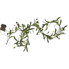 Lichtslinger Olivec 1,8m Groente Van Star Trading - Vermijd direct zonlicht gedurende langere perioden en bewaar de slinger binnenshuis voor een langere levensduur.