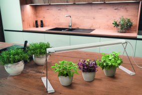 Plantlamp Garden Light Stand Wit Van Ledvance - Je plaatst je planten er eenvoudig onder en voorziet ze van een speciaal ontwikkeld LED-spectrum van witte en rode LED's die bij de meeste planten de fotosynthese bevorderen en de groei ervan bevorderen.