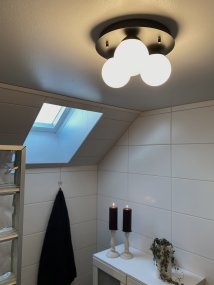 Nicosia Ø25 Zwart badkamerlamp Van Aneta Lighting - De lamp wordt met schroeven en een vaste stroomaansluiting aan het plafond bevestigd.
