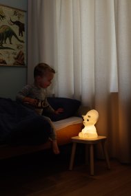 Mira First Light Wit kinderlamp Van Mr Maria - Mira maakt deel uit van de dinosaurussenserie van meneer Maria, samen met Nova, een Brachiosaurus, en Rena, een vriendelijke Tyrannosaurus Rex, en zal een perfect gezelschap zijn in de kinderkamer.