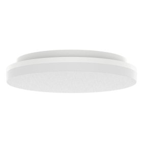 Plafondy Ø22 Wit Van Designlight - De lamp is ontworpen om bestand te zijn tegen zware omstandigheden met een IP54-classificatie voor stof- en waterbestendigheid.