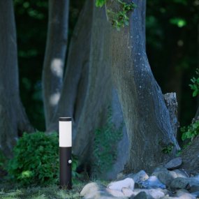 Dody 45cm Zwart lichtpaaltjes Van Brilliant - Met een hoogte van 40 cm zorgt hij voor een aangenaam licht en past hij discreet in de omgeving.