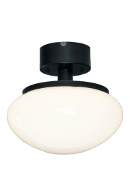 New August Ø27 Zwart plafondlamp Van Aneta Lighting - Voor wie een lamp met karakter wil, maar niet de kamer overneemt, is New August de ideale keuze - een stijlvol detail dat uw gehele interieur verfraait.