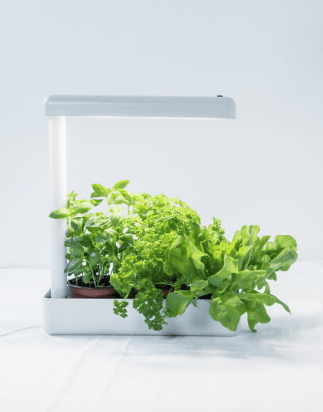 Plantlamp Herby Wit Van Airam - Het is niet de bedoeling om aarde en water in het vat van Herby te doen, maar als er irrigatiewater uit de potten in de bak druppelt, kan het overtollige water eenvoudig via de bodem worden weggegooid en kan de bak worden gewassen.