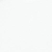 Axel 25cm Messing wandlamp Van PR Home - De glazen kap heeft een diameter van 25 cm en is 8 cm hoog.