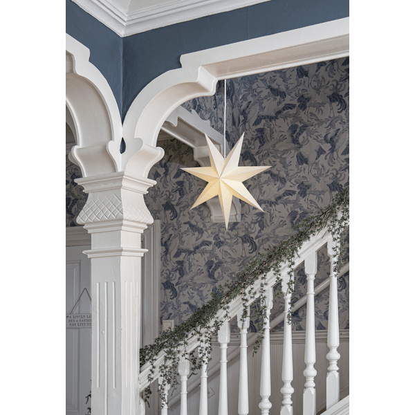 Plain Ø45 Wit Van Star Trading - 