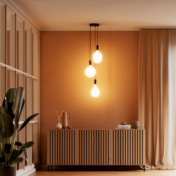 Triple Canopy Zwart Van Ledvance - 