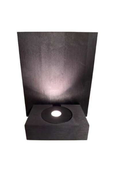 Wallight LED 25cm Zwart Van Frilight - 