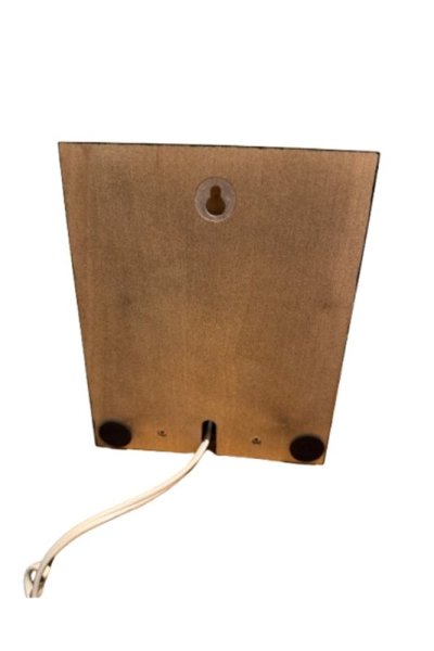 Wallight LED 25cm Zwart Van Frilight - 