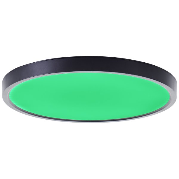 Lotti Ø30 Zwart plafondlamp Van Brilliant - Naast kleur- en lichtregeling biedt Lotti slimme functies zoals een timer en een nachtlampmodus – allemaal eenvoudig te bedienen via de afstandsbediening.
