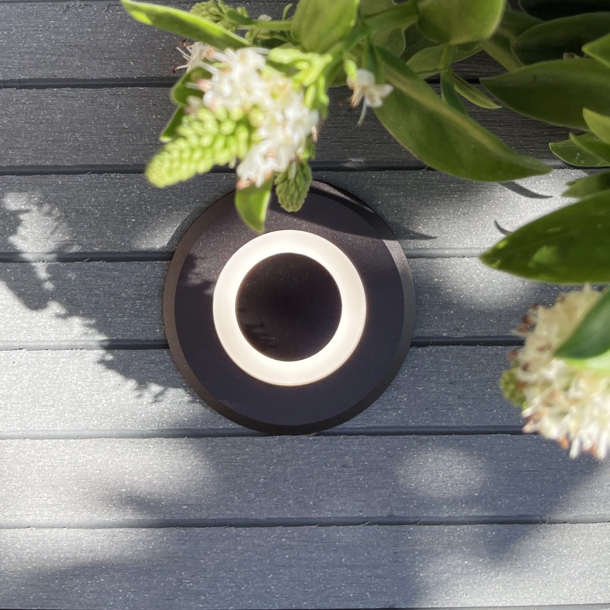 Lynx Donkergrijs Van Lightson - Lynx kan gebruikt worden als markering op een trede of aan het einde van een trap.