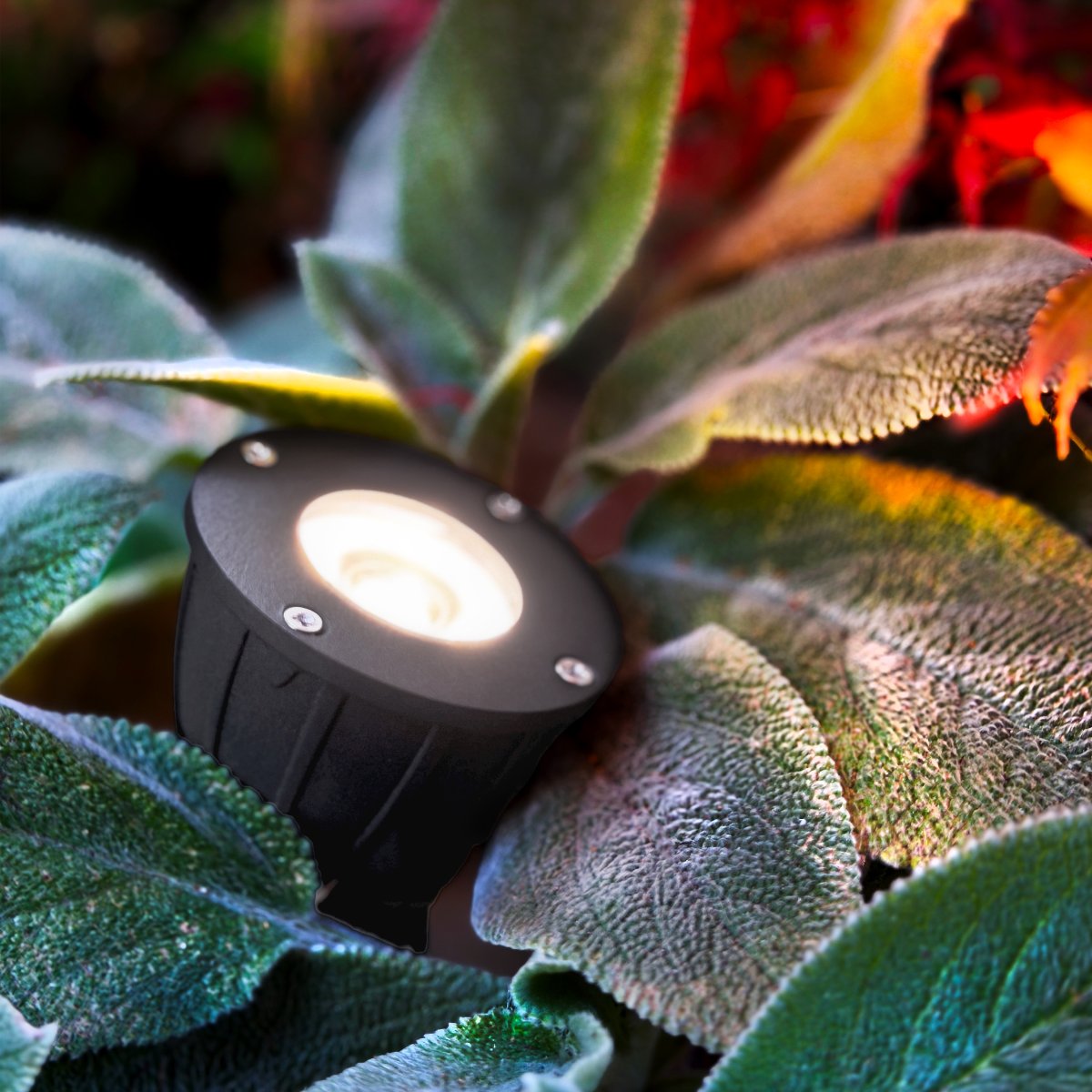 Luminius Donkergrijs Van Lightson - Een lamp met een smalle lichtbundel (15&deg;) die geschikt is voor bomen waarbij de stam moet worden benadrukt, of waar u wilt dat het licht tot aan de top reikt, bijvoorbeeld hoge dennen en berken.