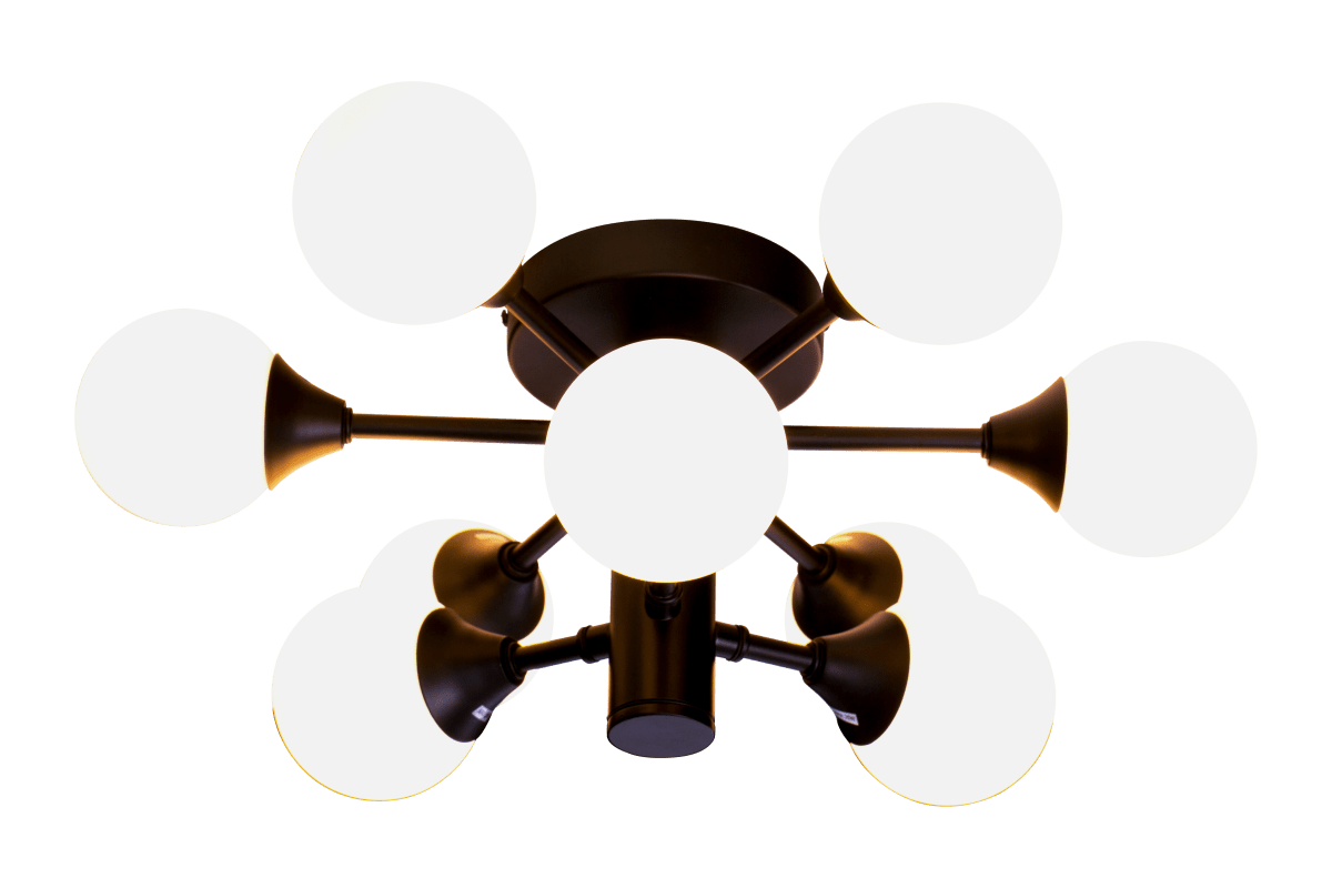 Cosmos Ø45 Zwart badkamerlamp Van Aneta Lighting - Cosmos is een unieke plafondlamp voor badkamers die een aangenaam licht geeft.