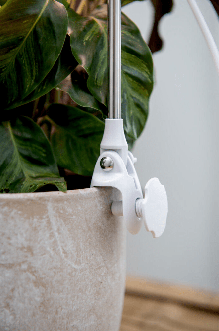 Plantlamp Rose Wit Van Airam - De as kan ook in de potgrond worden gestoken of met een klem aan de rand van de pot worden bevestigd.