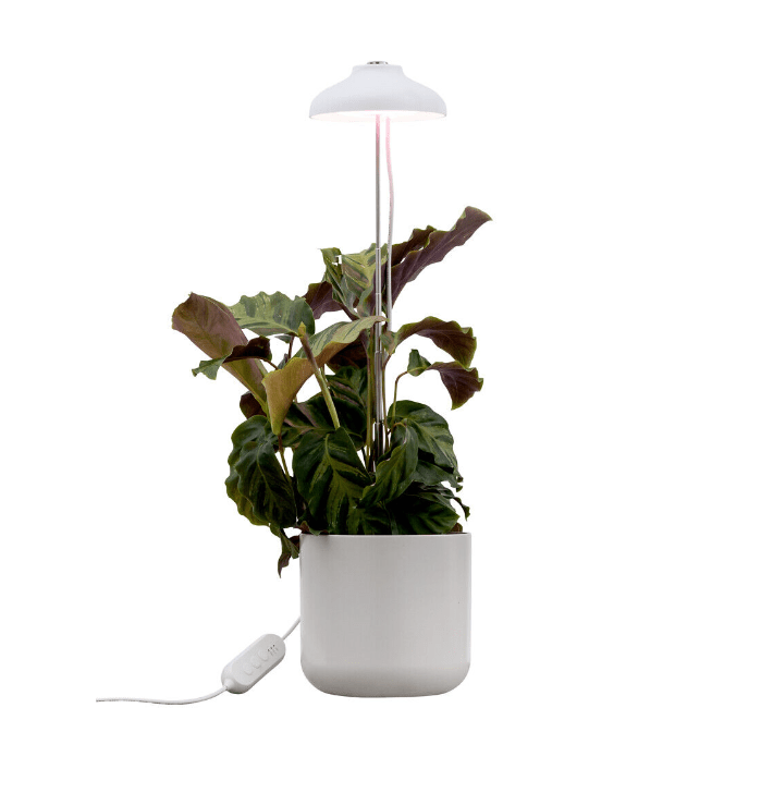 Plantlamp Iris Wit Van Airam - De pot op de afbeelding is niet inbegrepen.