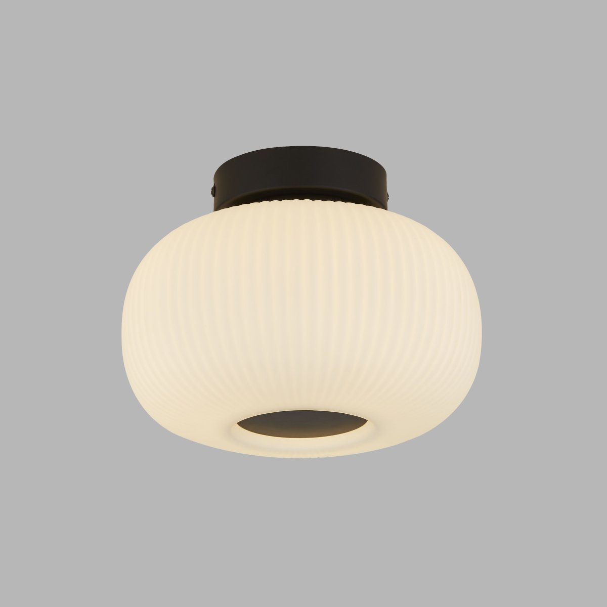 Lumina Ø24 Zwart plafondlamp Van Searchlight - De Lumina plafondlamp komt goed tot zijn recht in gangen, kantoren, keukens en woonkamers.