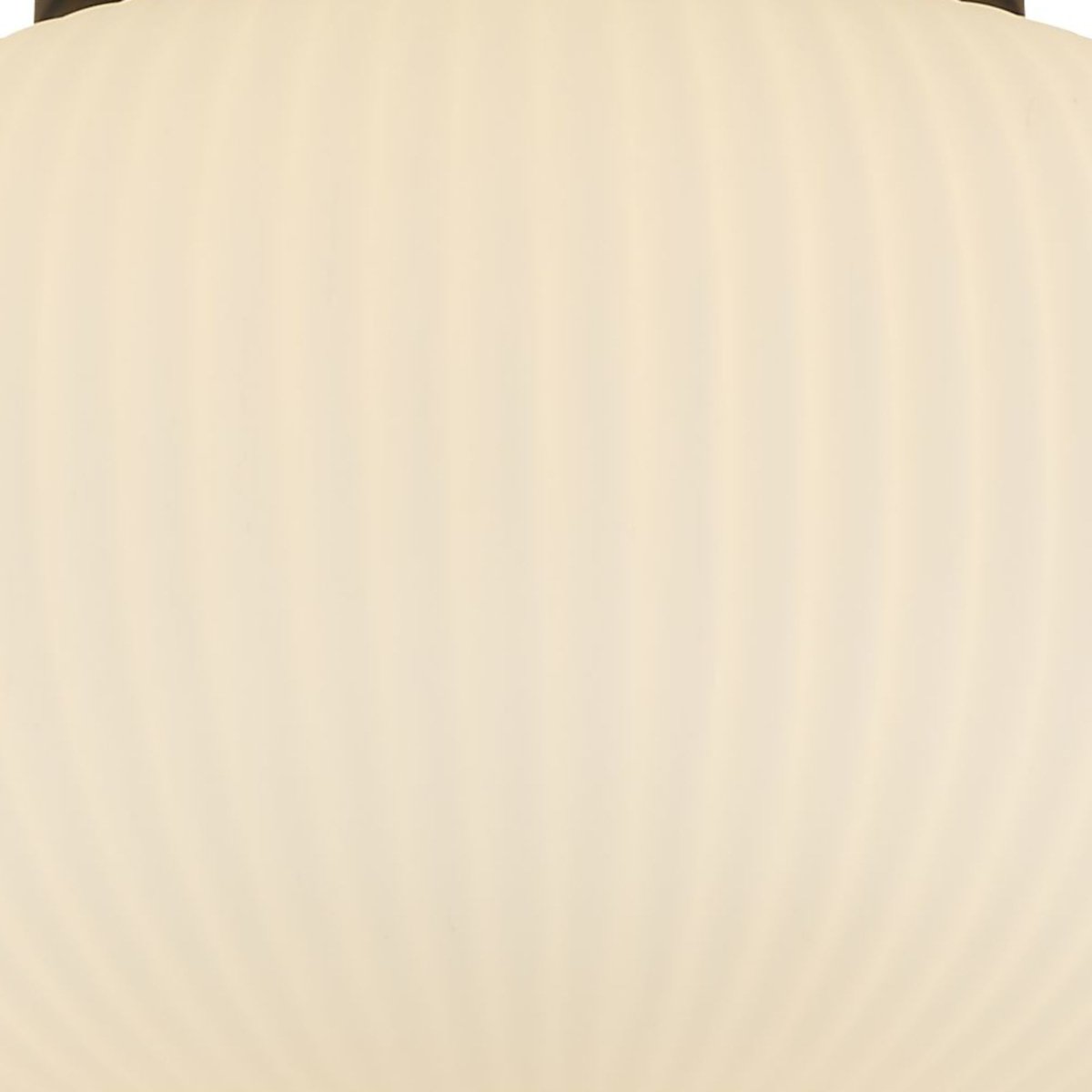 Lumina Ø24 Zwart plafondlamp Van Searchlight - De Lumina plafondlamp komt goed tot zijn recht in gangen, kantoren, keukens en woonkamers.