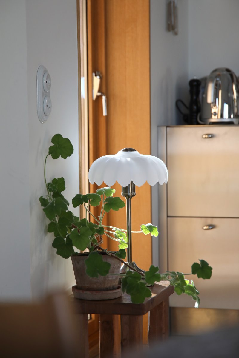 Kurage 43cm Antiek messing/wit tafellamp Van Markslöjd - Wordt geleverd met een transparante kabel van 2 meter, een aan/uit-schakelaar en een stekker.