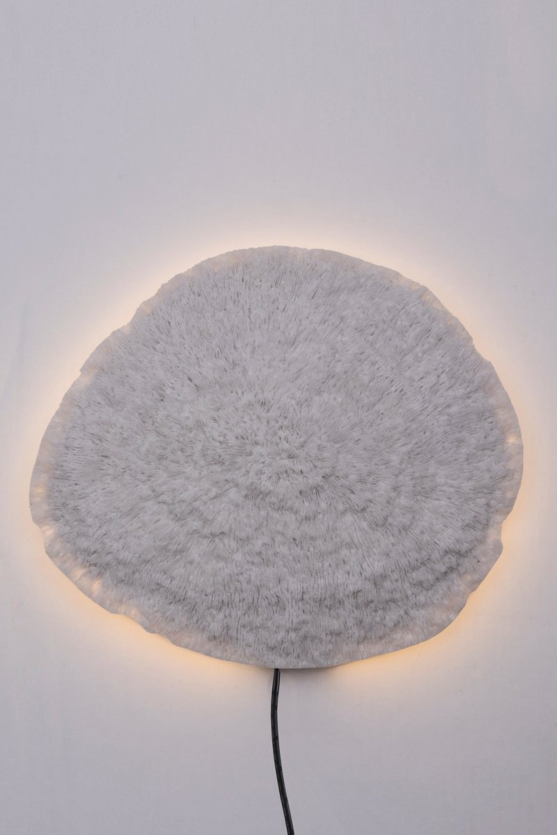 Nemo Wit wandlamp Van Globen Lighting - De lamp is gemaakt van wit polyresin en zandsteen en heeft een 200 cm lang zwart snoer met schakelaar.