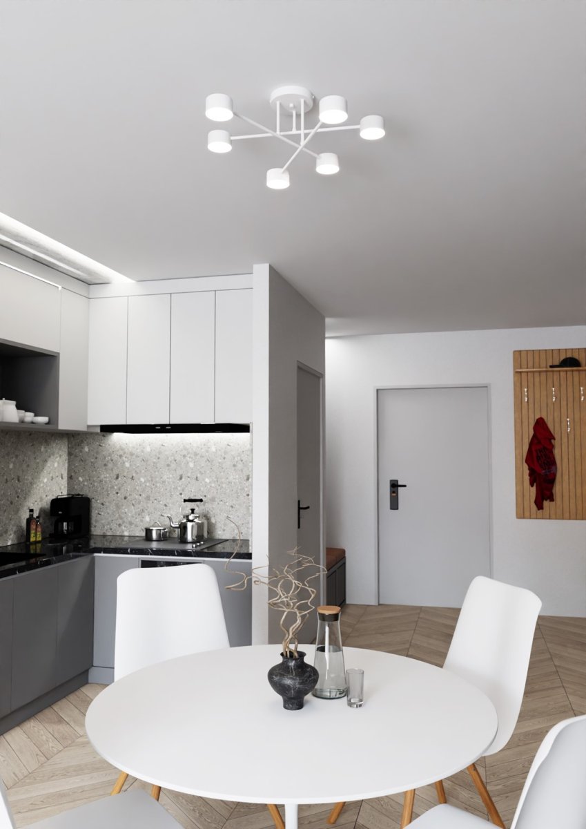 Halo Ø60 Wit plafondlamp Van Emibig Lighting - De strakke vorm en het gepoedercoate metaal geven de lamp een unieke uitstraling die perfect past in moderne woningen.