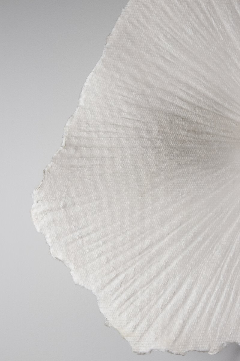 Tropez Ø60 Wit wandlamp Van Globen Lighting - Omdat de lamp met de hand wordt gemaakt van een levend materiaal, kunnen er afwijkingen in vorm en uitstraling optreden, waardoor elke Tropez uniek is.