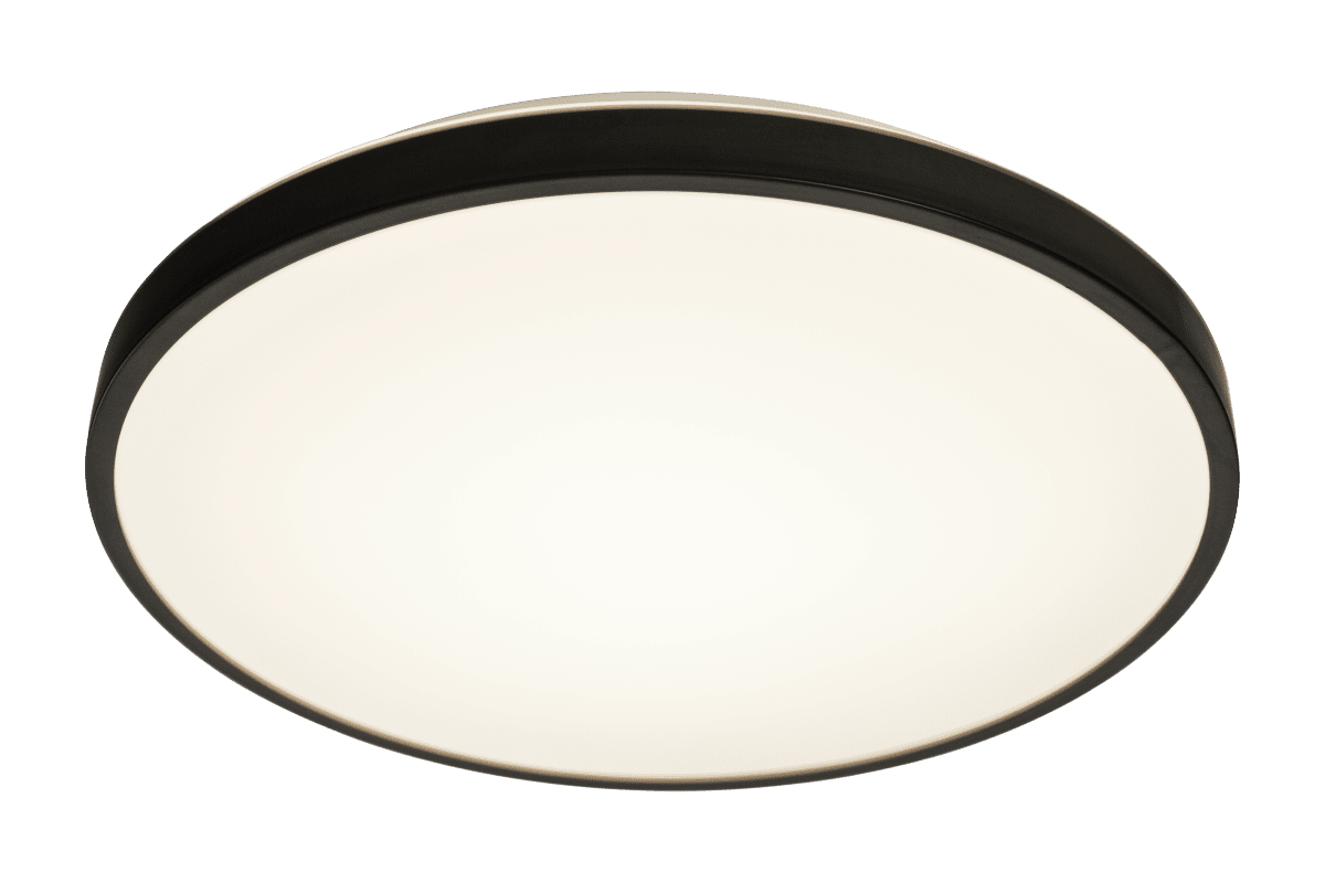 Anillo Ø40 Zwart plafondlamp Van Aneta Lighting - De Anillo plafondlamp is de perfecte oplossing voor uw huis als u op zoek bent naar een stijlvolle en discrete plafondlamp die uw kamers kan opfleuren.