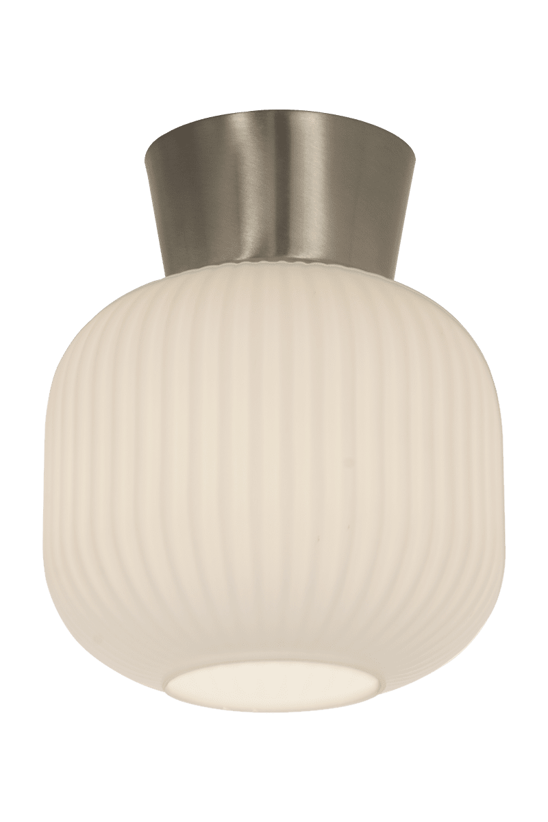 Vanja Ø20 Staal/Wit plafondlamp Van Aneta Lighting - De Vanja plafondlamp is een kleine en stijlvolle plafondlamp die perfect past in kleinere ruimtes zoals hallen, keukens of slaapkamers.