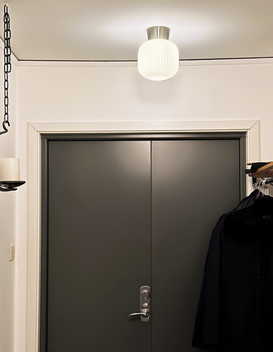 Vanja Ø20 Staal/Wit plafondlamp Van Aneta Lighting - De Vanja plafondlamp is een kleine en stijlvolle plafondlamp die perfect past in kleinere ruimtes zoals hallen, keukens of slaapkamers.