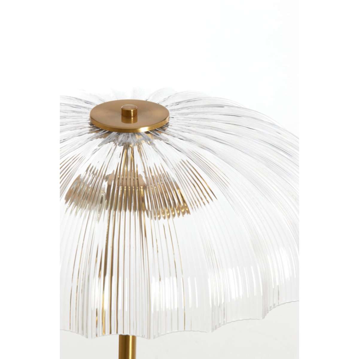 Fungo Goud/helder vloerlamp Van Light & Living - 