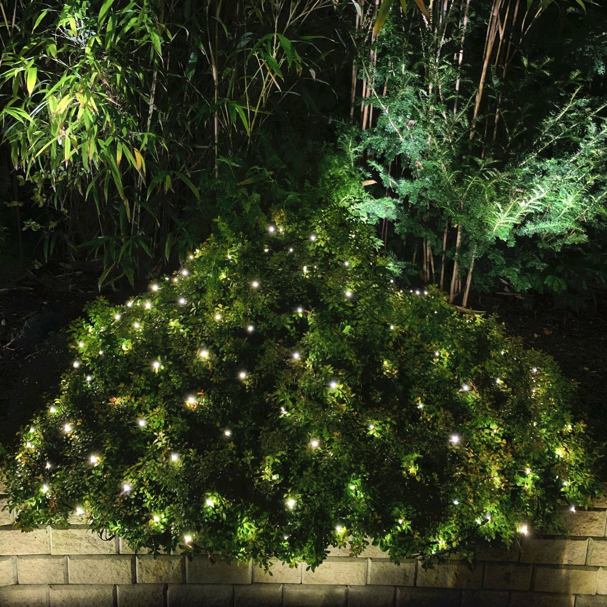 Net Donkergroen Van Lightson - Het net kan ook opgehangen worden aan bijvoorbeeld een schutting of een groenblijvende haag, die met voordeel het hele jaar door kan blijven hangen.