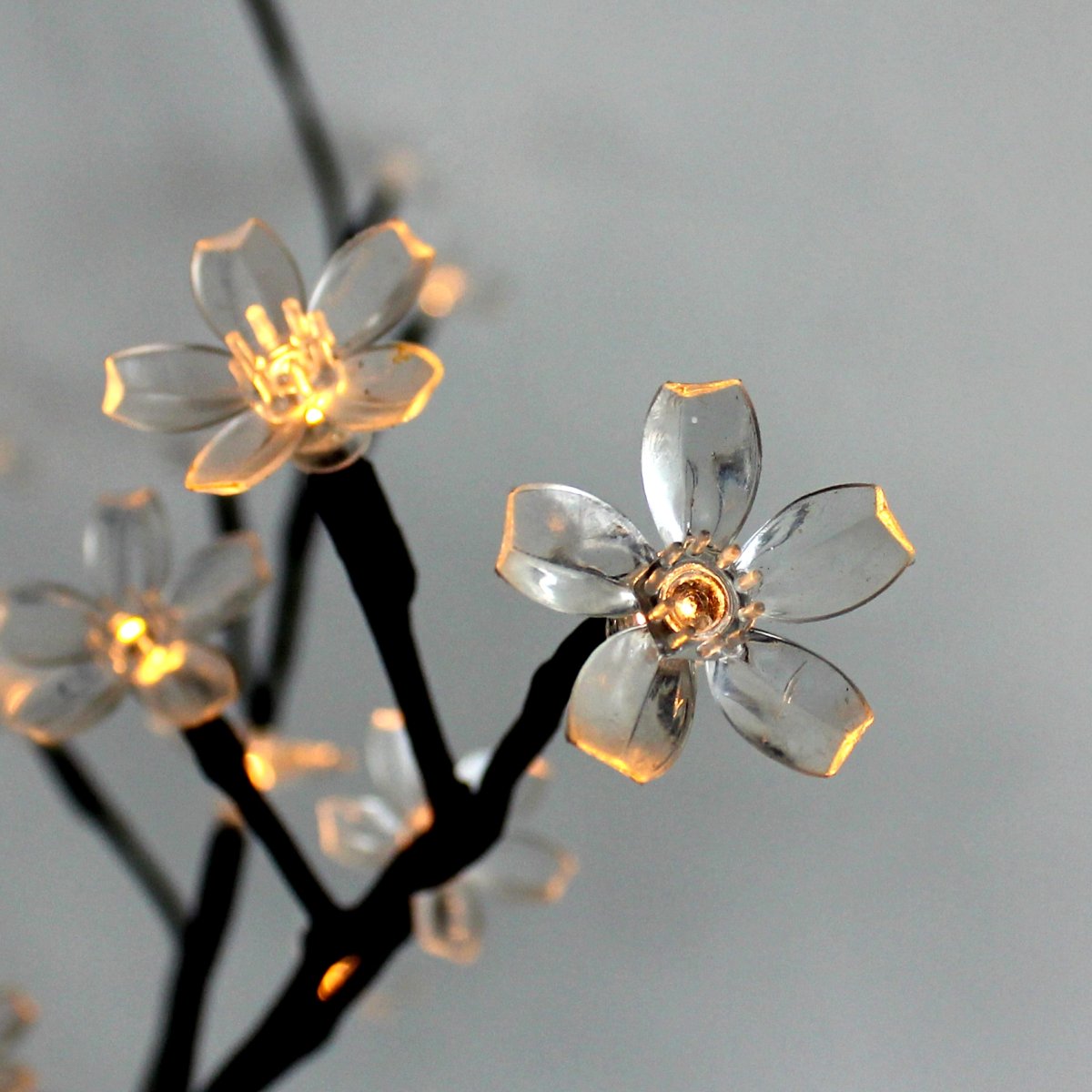 Bloom Zwart Van Lightson - Creëer een sfeervolle lichtinstallatie op uw terras of in uw tuin met Bloom: een lichtsnoer met kleine transparante bloemen bij elke lichtdiode.
