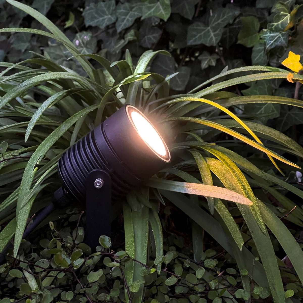 Nova Zwart Van Lightson - Groepeer de lampen in de LightsOn-app om de verlichting te krijgen die het beste bij u past.