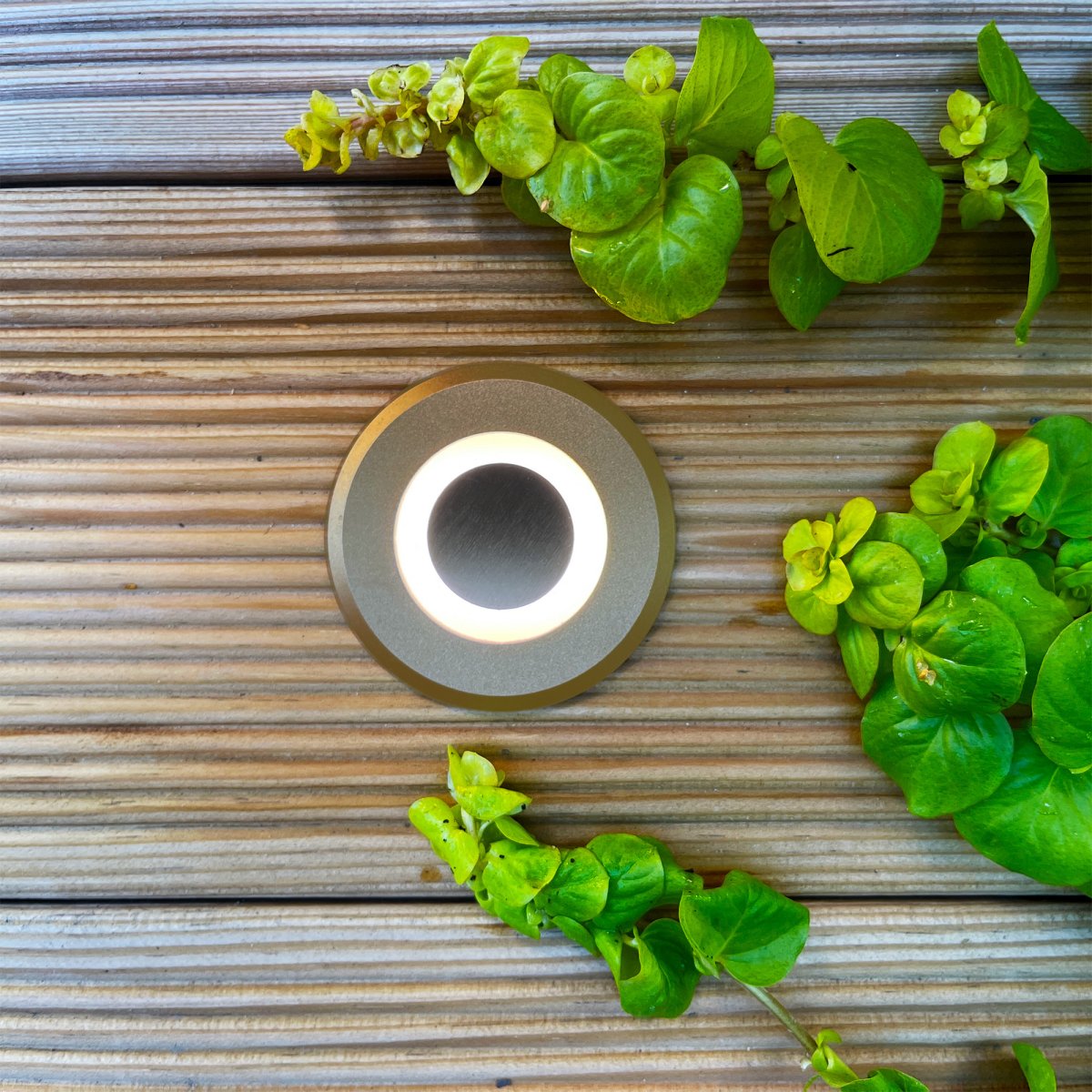 Lynx Bronzen Van Lightson - Lynx kan gebruikt worden als markering op een trede of aan het einde van een trap.